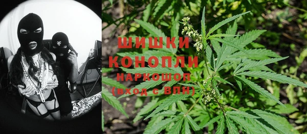 прущая мука Ельня