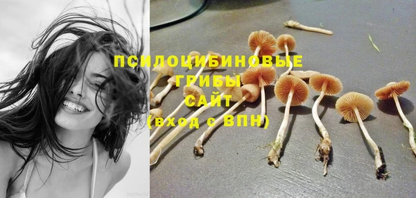 герыч Елабуга