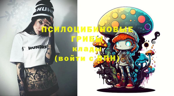 герыч Елабуга