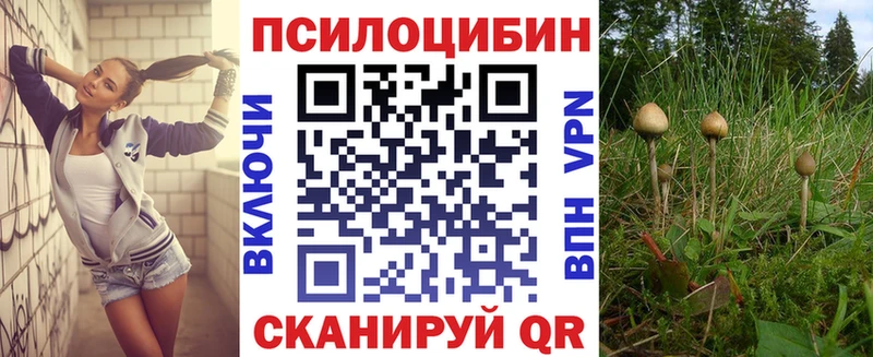 shop официальный сайт  Нефтегорск  Галлюциногенные грибы Psilocybine cubensis  закладка 